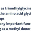 PURICA - Betaine Hydrochloride HCL, 180 Vegan Capsules - Digestive Support - Helps to Support Liver Function and Digestion - Image 8