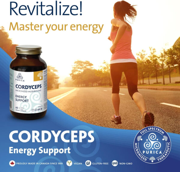 PURICA - Cordyceps Mushroom Supplement - Cordyceps Sinensis - Cordyceps Mushroom Capsules - Energy Support Kidney Support - Cordyceps Supplements - Real Mushrooms Cordyceps Capsules (60 Count (Pack of 1)) - Image 9