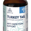 PURICA Turkey Tail (Coriolus) Powder - Organic Turkey Tail Mushroom Supplement - 100g