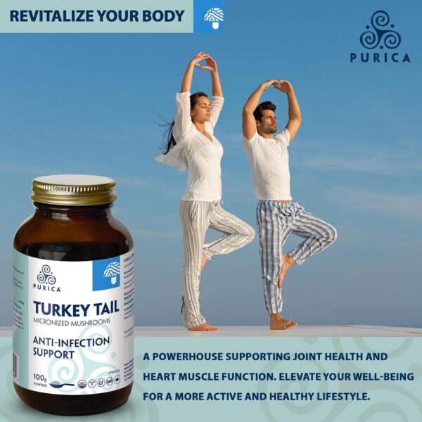 PURICA Turkey Tail (Coriolus) Powder - Organic Turkey Tail Mushroom Supplement - 100g - Image 3