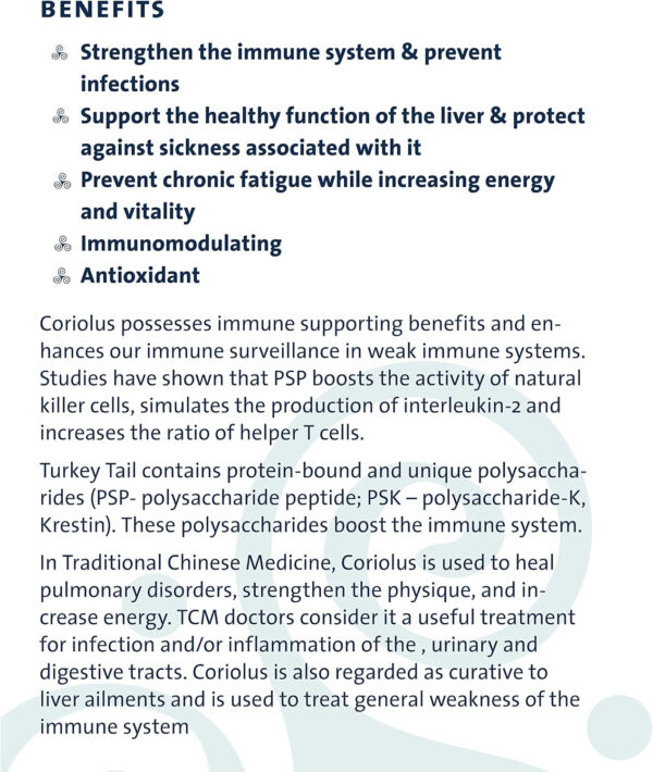 PURICA Turkey Tail (Coriolus) Powder - Organic Turkey Tail Mushroom Supplement - 100g - Image 7