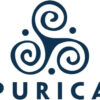 PURICA MSM, 300 Capsules - Enhanced Joint Support, Non-GMO & Vegan Friendly - Methylsulfonylmethane for Joint Comfort & Inflammation, Premium MSM Supplement for Joint Wellness - Image 8