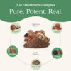 Real Mushrooms 5 Defenders Powder - Organic Mushroom Extract w/Chaga, Shiitake, Maitake, Turkey Tail, & Reishi - Vegan, Non-GMO, 100 Servings - Image 5