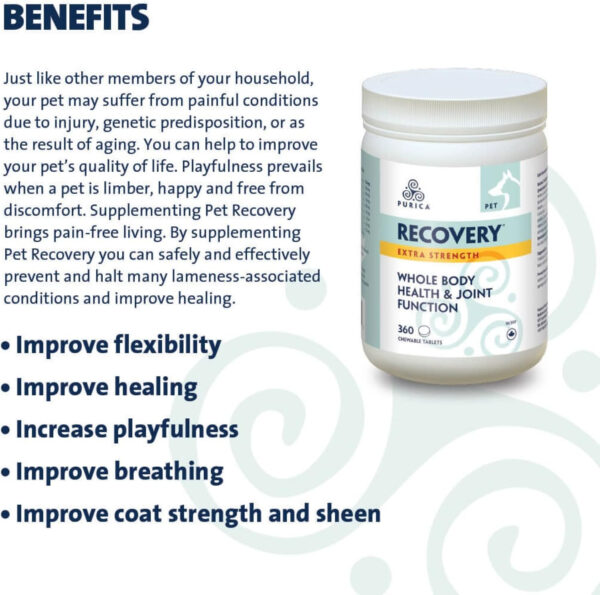 PURICA Pet Recovery Extra Strength - Advanced Joint Function Supplement for Dogs & Cats, Supports Hip & Joint Care, Improves Playfulness and overall Health, 360 Count - Image 4