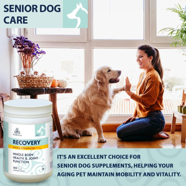 PURICA Pet Recovery Extra Strength - Advanced Joint Function Supplement for Dogs & Cats, Supports Hip & Joint Care, Improves Playfulness and overall Health, 360 Count - Image 6