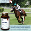 PURICA - Equine Renewal, 300g Powder - Beyond Glucosamine - Ideal for Maintaining The Joint Health and Mobility of Horses - Supports Fluid Movement - Image 3