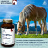 PURICA - Equine Renewal, 300g Powder - Beyond Glucosamine - Ideal for Maintaining The Joint Health and Mobility of Horses - Supports Fluid Movement - Image 6