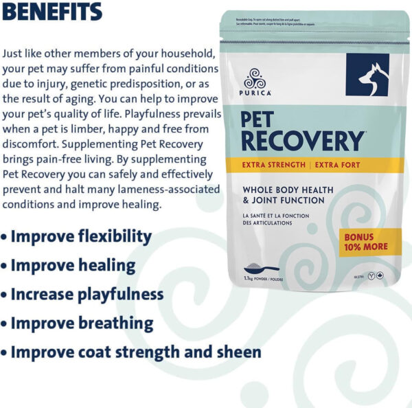 PURICA Pet Recovery Extra Strength - Premium Dog Joint and Hip Supplement, with Glucosamine for Dogs, Essential Dog Vitamins for Overall Well-Being & Comfort, Suitable for Senior Dogs - 1.1 kg - Image 5