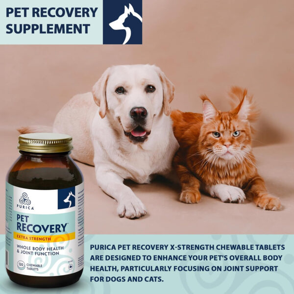 PURICA Pet Recovery X-Strength Chewable Tablets - Premium Dogs & Cats Joint and Hip Supplement - Improves Playfulness and Overall Health - Ideal Dog Supplements for Joint and Hip Support - 120 Count - Image 3
