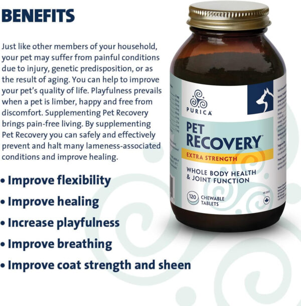 PURICA Pet Recovery X-Strength Chewable Tablets - Premium Dogs & Cats Joint and Hip Supplement - Improves Playfulness and Overall Health - Ideal Dog Supplements for Joint and Hip Support - 120 Count - Image 5