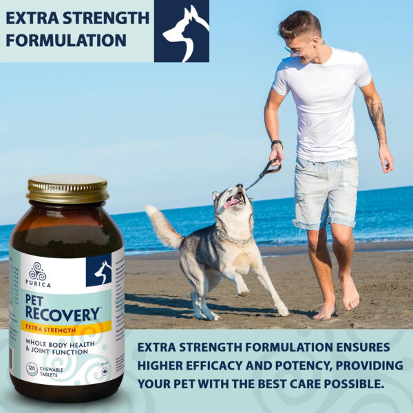 PURICA Pet Recovery X-Strength Chewable Tablets - Premium Dogs & Cats Joint and Hip Supplement - Improves Playfulness and Overall Health - Ideal Dog Supplements for Joint and Hip Support - 120 Count - Image 6