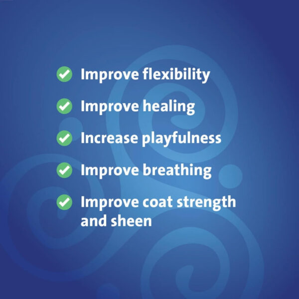 PURICA Pet Recovery X-Strength Chewable Tablets - Premium Dogs & Cats Joint and Hip Supplement - Improves Playfulness and Overall Health - Ideal Dog Supplements for Joint and Hip Support - 120 Count - Image 7