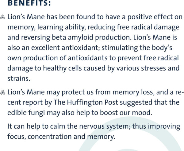 PURICA - Lion's Mane Micronized Mushrooms, 120 Vegan Capsules - Promotes Cognitive Health - Focus and Memory Support - Image 7