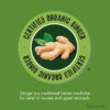 Gravol Ginger - Nausea and upset stomach relief with Organic ginger extract - Non-drowsy, Taste-free and Easy to swallow - 20 Tablets (Pack of 1) - Image 5