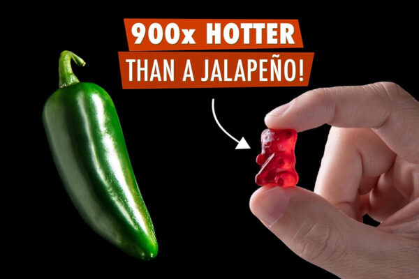 Lil' Nitro: The World's Hottest Gummy Bear - Image 5