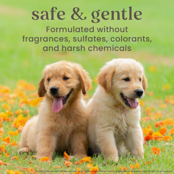 Burt's Bees for Dogs FFP4926ST All-Natural Itch Soothing Spray with Honeysuckle | Best Anti-Itch Spray for All Dogs and Puppies with Itchy Skin - Image 7