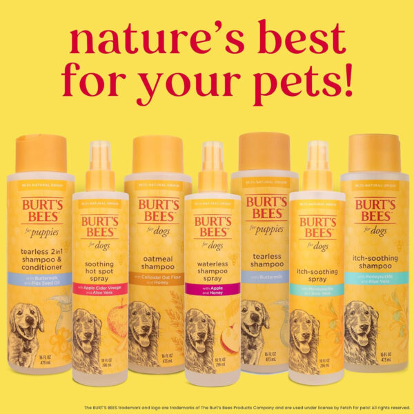 Burt's Bees for Dogs FFP4926ST All-Natural Itch Soothing Spray with Honeysuckle | Best Anti-Itch Spray for All Dogs and Puppies with Itchy Skin - Image 9