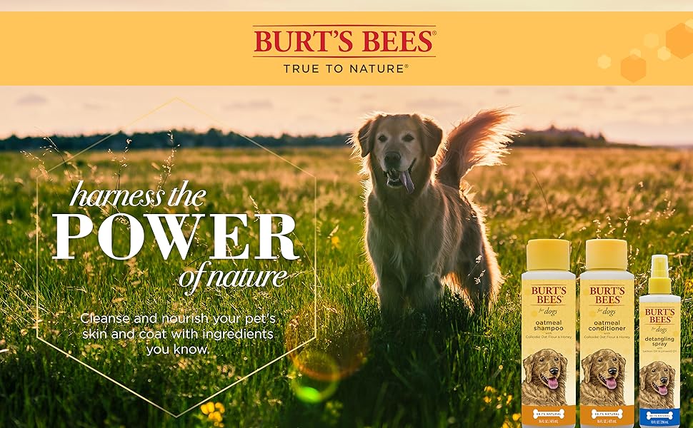 Burt's Bees Dog Shampoo Spray