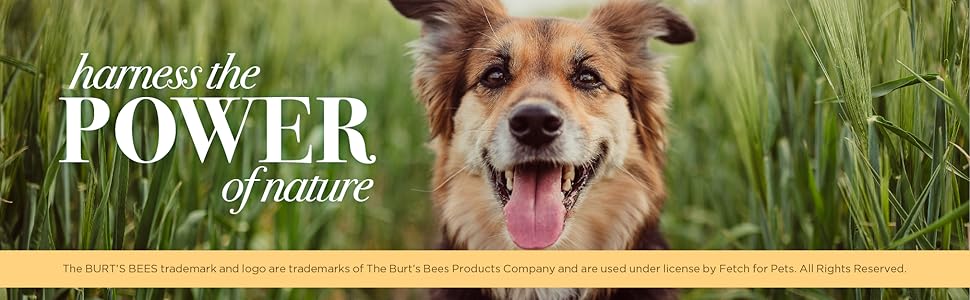 burt's bees for pets
