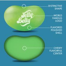 Infographic of a cross section of a Jelly Belly Jelly Bean with text identifying different parts