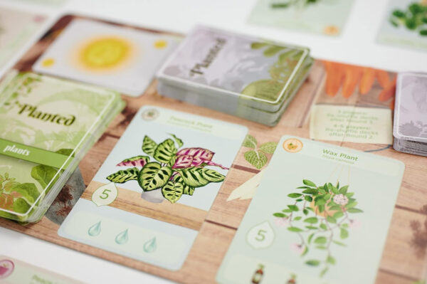 Planted Game by Phil Walker-Harding - Buffalo Games - Collect and Nurture Your houseplants.- Adult Game Night - Deck Building Game - Image 8