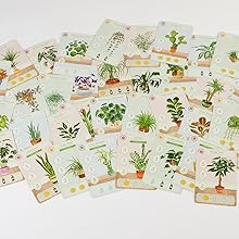 planted pack