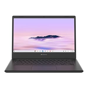 Gateway CBO314-1H-C3S9 Chromebook 14" Celeron Chrome