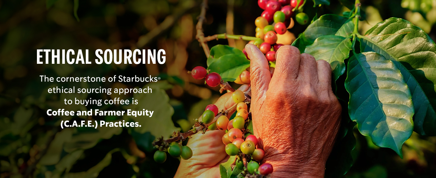 Coffee Ethical Sourcing 