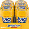 JUICY FRUIT, Fruit Flavoured Chewing Gum, 60 Pieces, 6 Bottles