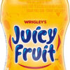 JUICY FRUIT, Fruit Flavoured Chewing Gum, 60 Pieces, 6 Bottles - Image 5