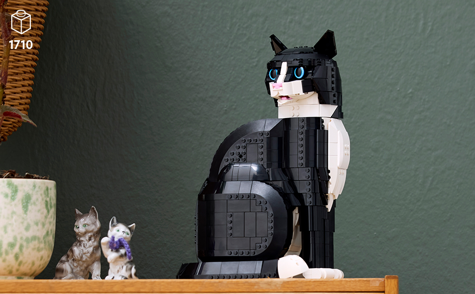 21349_LEGO IDEAS