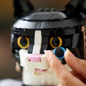 21349_LEGO IDEAS
