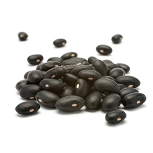 soybean
